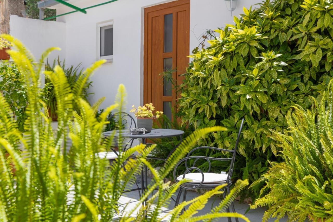 Apartments Jelena Supetar - Four Apartments - A Small House With A Private Yard - Two-Room Apartment With A Sea View - Studio Apartment - Two-Room Apartment With Garden View- Free Parking Экстерьер фото