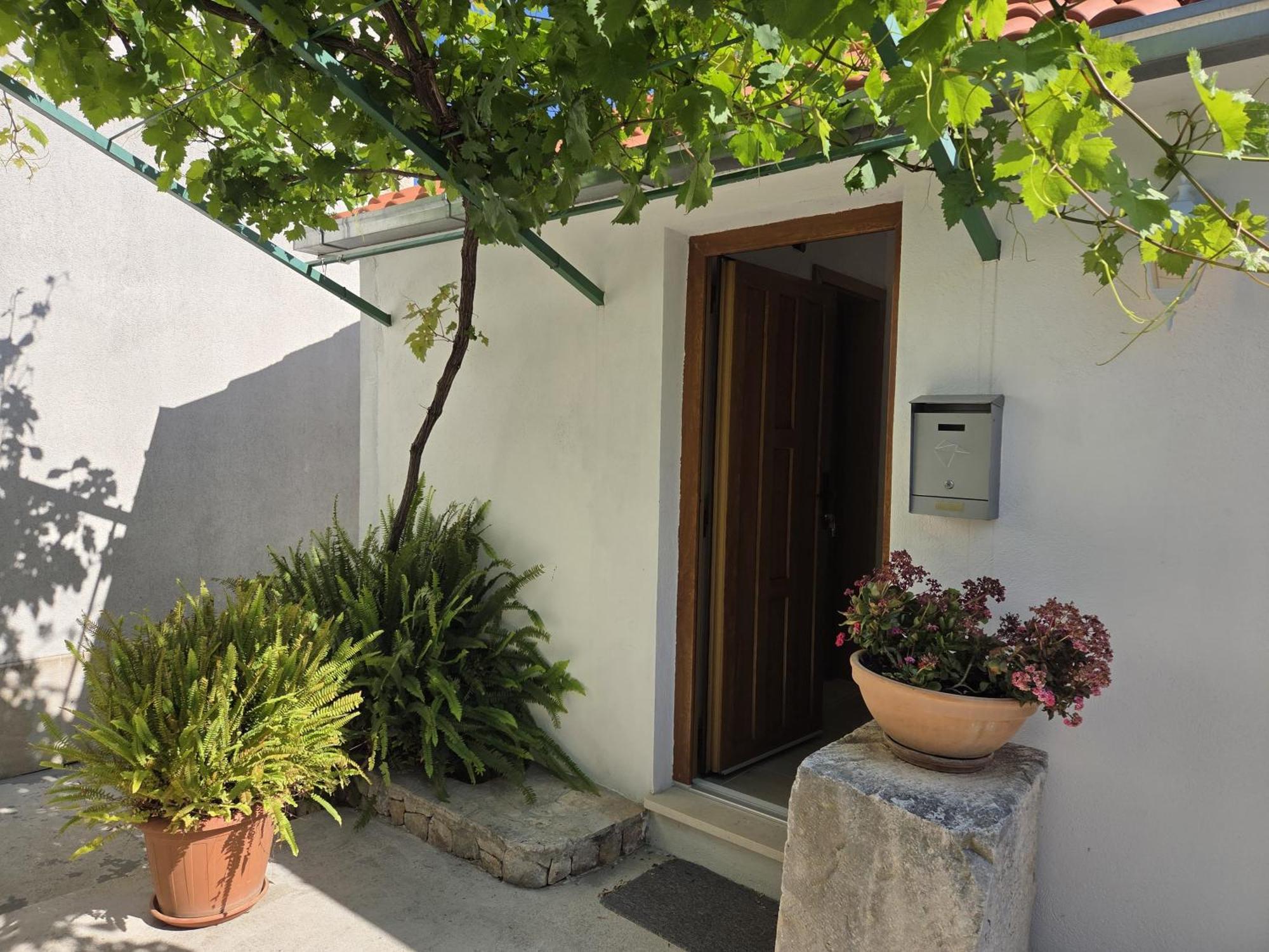 Apartments Jelena Supetar - Four Apartments - A Small House With A Private Yard - Two-Room Apartment With A Sea View - Studio Apartment - Two-Room Apartment With Garden View- Free Parking Экстерьер фото